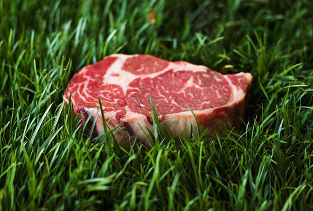 Bistecca grass-fed