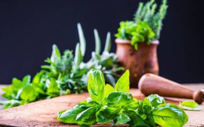 Le erbe aromatiche in cucina: Come Massimizzare il sapore dei tuoi piatti